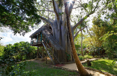 Chole Mjini Lodge - The tree houses